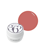 STORYJEL365 Color Gel 259S - Lip Gloss 2g product image