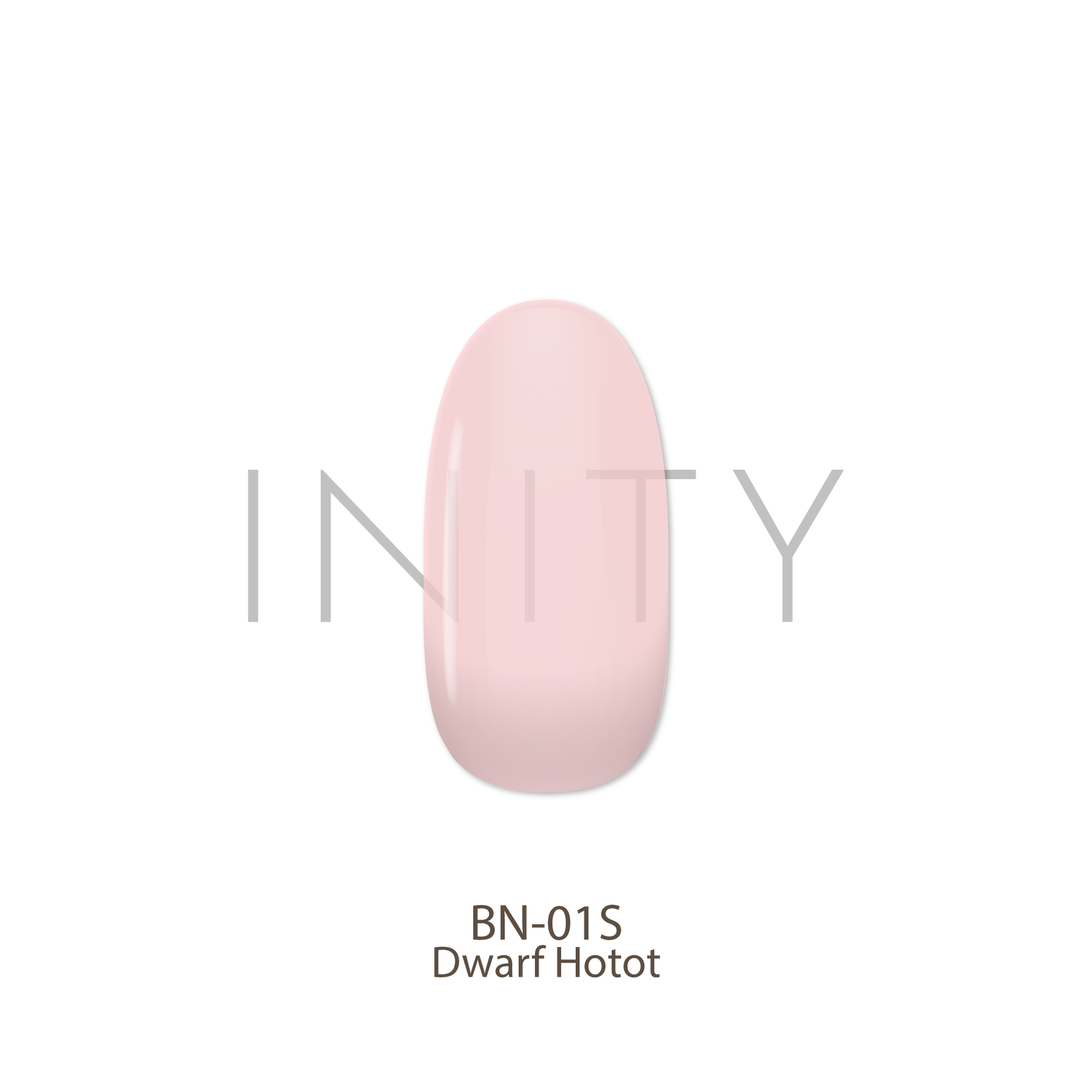 INITY Bunny Collection - Full 5pc Set