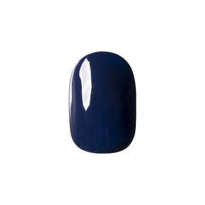 Riccagel Color Gel 082M - Blue Matte 2.7g product image 1