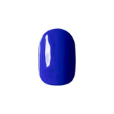 Riccagel Color Gel 085M - Blue Matte 2.7g product image 1