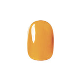 Riccagel Color Gel 111C - Brown Clear 3g product image 1