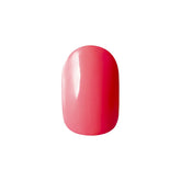 Riccagel Color Gel 121N - Pink Neon 2.7g product image 1