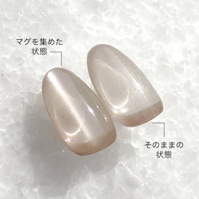 STORYJEL365 Skin Tone Magnet Gel GG55 - Greige 4g product image 4