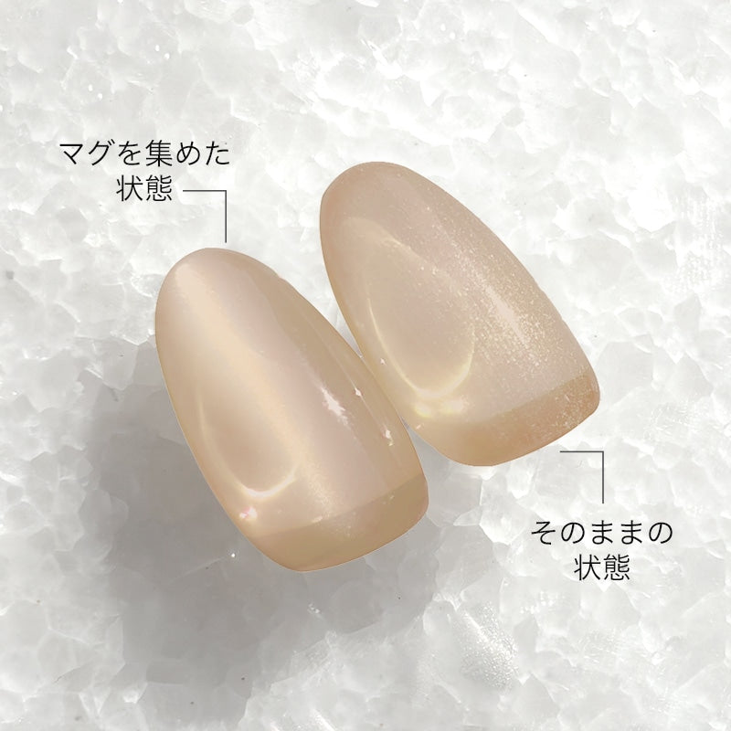STORYJEL365 Skin Tone Magnet Gel GG59 - Latte Beige 4g product image 4