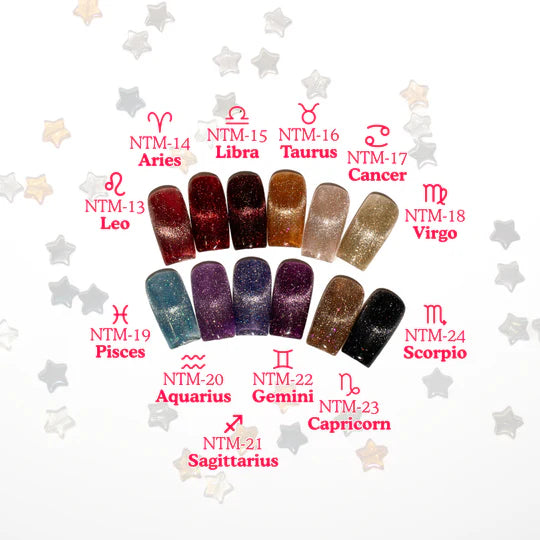 NAIL THOUGHTS Zodiac Flash Magnet Gel Collection - Full Set/Single Bottles