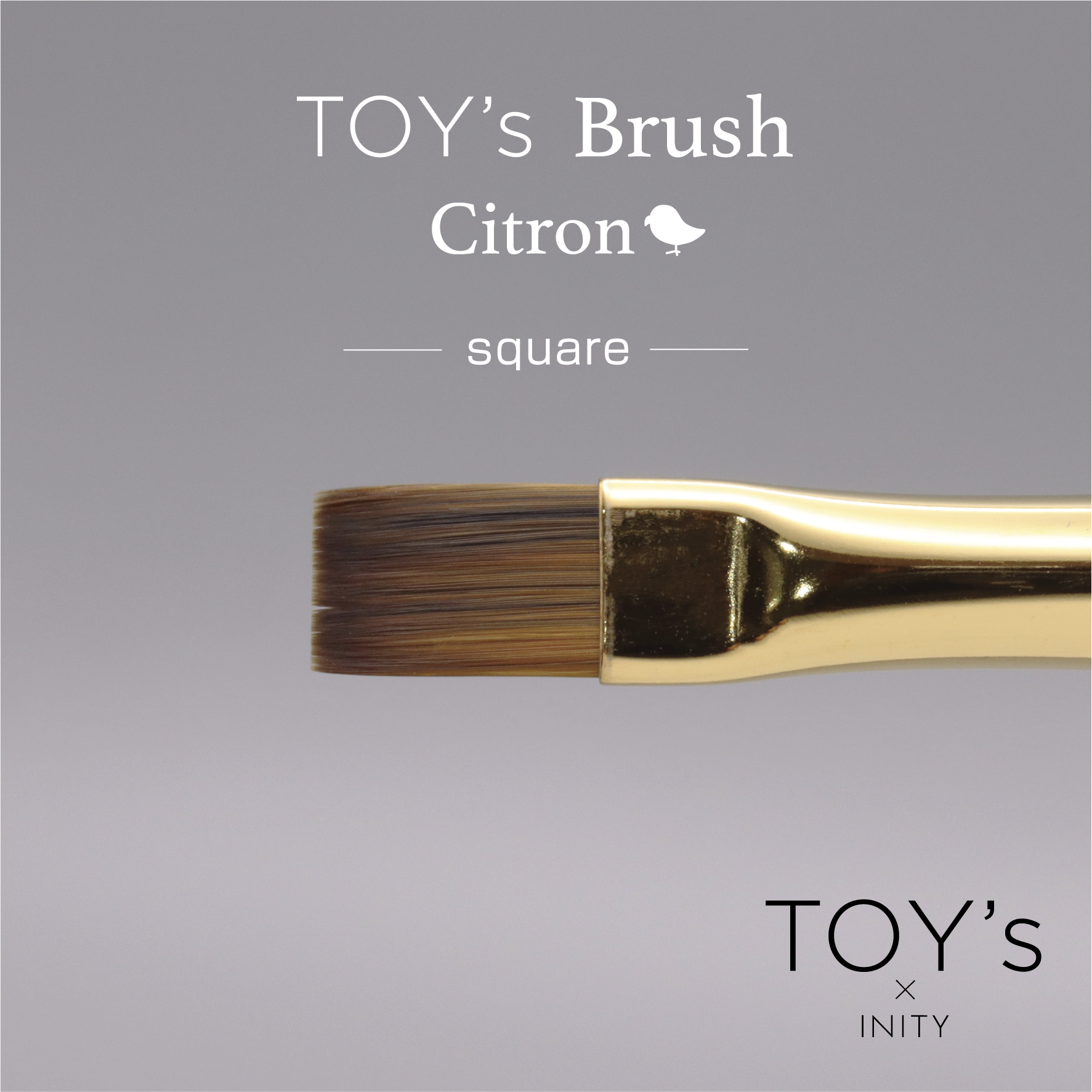 TOY's x INITY x Citron (Detailed Art) Gel Brushes - 6 types (Full 6pc Set/Individual Brushes)