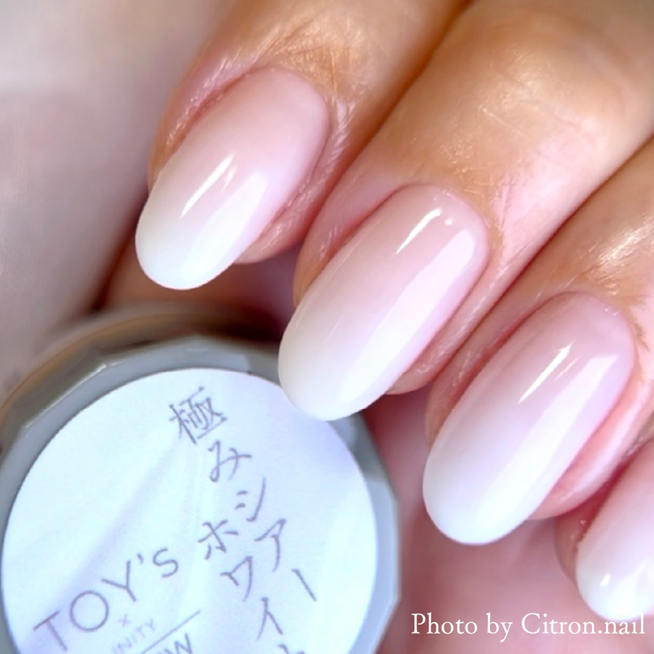 TOY's x Drape Nail Kiwami series - Sheer Black/Sheer White