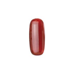 KOKOIST E-87 Marilyn's Blood