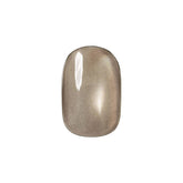 Riccagel Iron Sand Magnetic Gel FE17 2.7g - product view 1