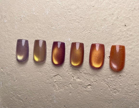 énoi Magnet Series - full 12pc set