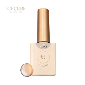 GINA Ice Cube Magnetic Gel - Full 5pc Set/Individual Pots