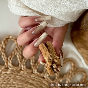 TOY's x INITY Biscuit Mag (Magnetic Gel) Collection - Full 6pc set/Individual bottles