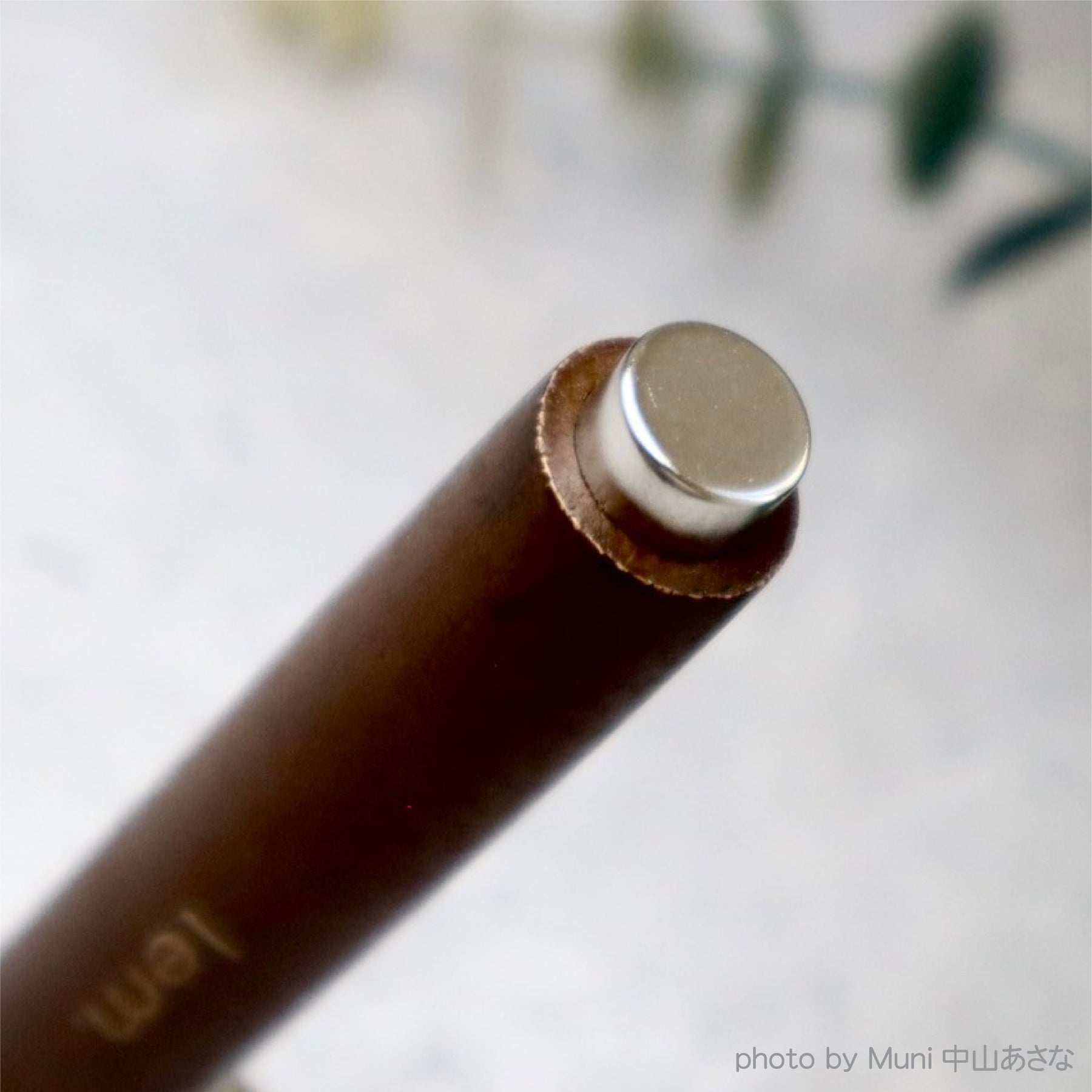 lem. Woody 2-Neodymium Mag Stick