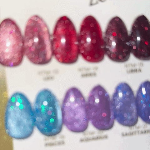 NAIL THOUGHTS Zodiac Flash Magnet Gel Collection - Full Set/Single Bottles