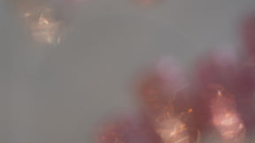 énoi 'galitter' Glitter Gel Collection - full 20pc set/10pc sets/individual pots (gt01-gt20)