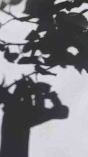 TOY's x INITY Bordeaux Mag (Magnetic Gel)