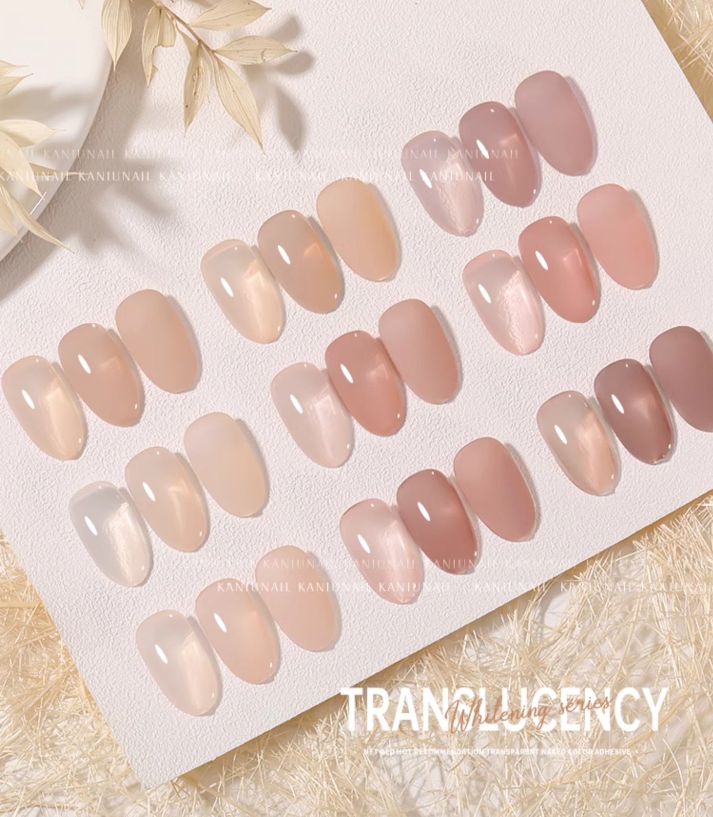 Kaniu Translucent Nude Collection - Full 9pc Set/Individual Colours